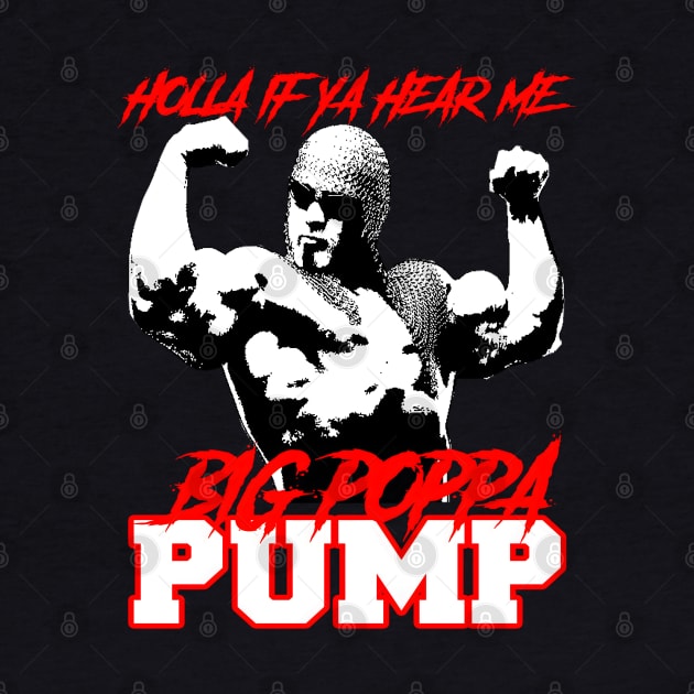 Big Poppa Pump // HOLLA IF YA HEAR by Kiranamaraya